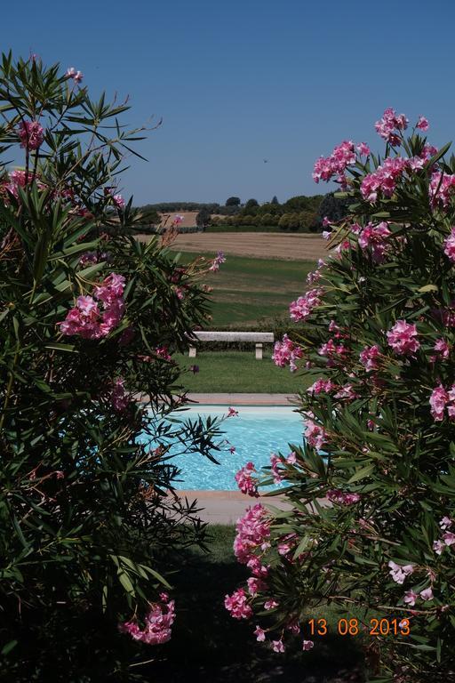 Villa La Lodola 푀아노델라키아나 외부 사진