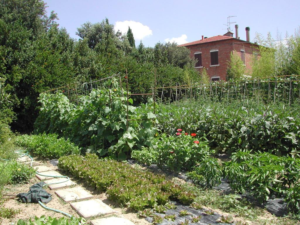 Villa La Lodola 푀아노델라키아나 외부 사진