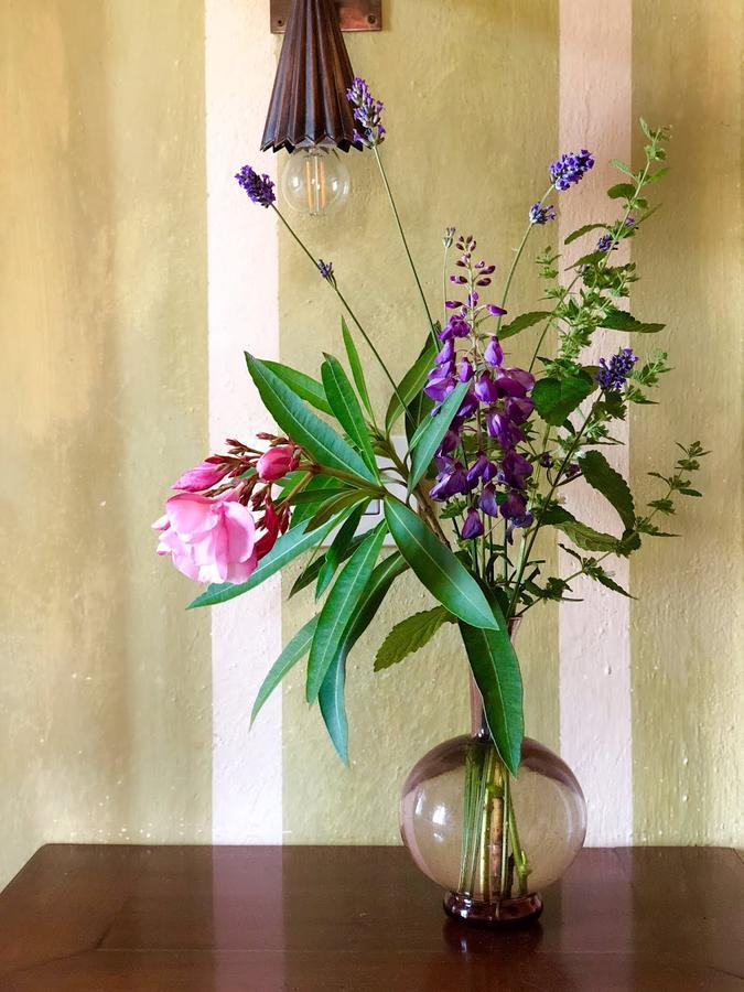 Villa La Lodola 푀아노델라키아나 외부 사진